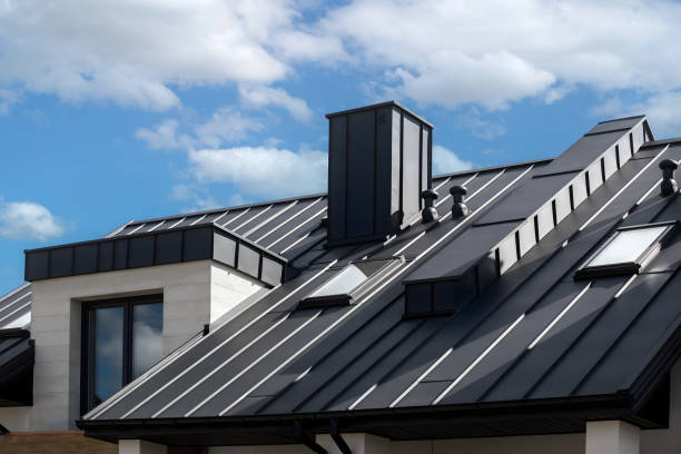 Best Skylight Installation and Repair  in Georgiana, AL